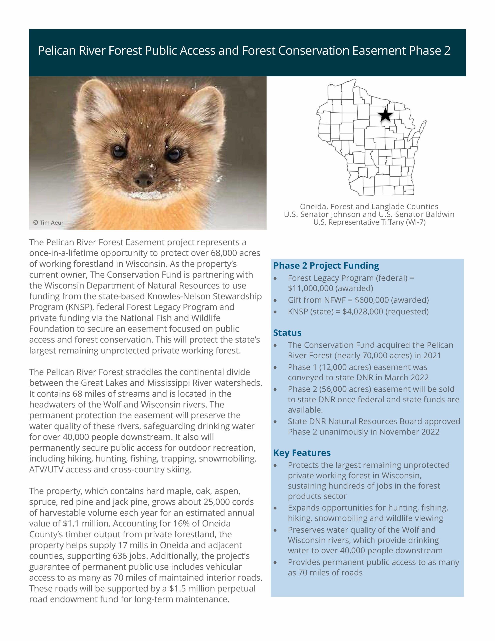 Cover of a fact sheet document featuring a close up photograph of an American marten and a map of Wisconsin, highlighting Oneida County