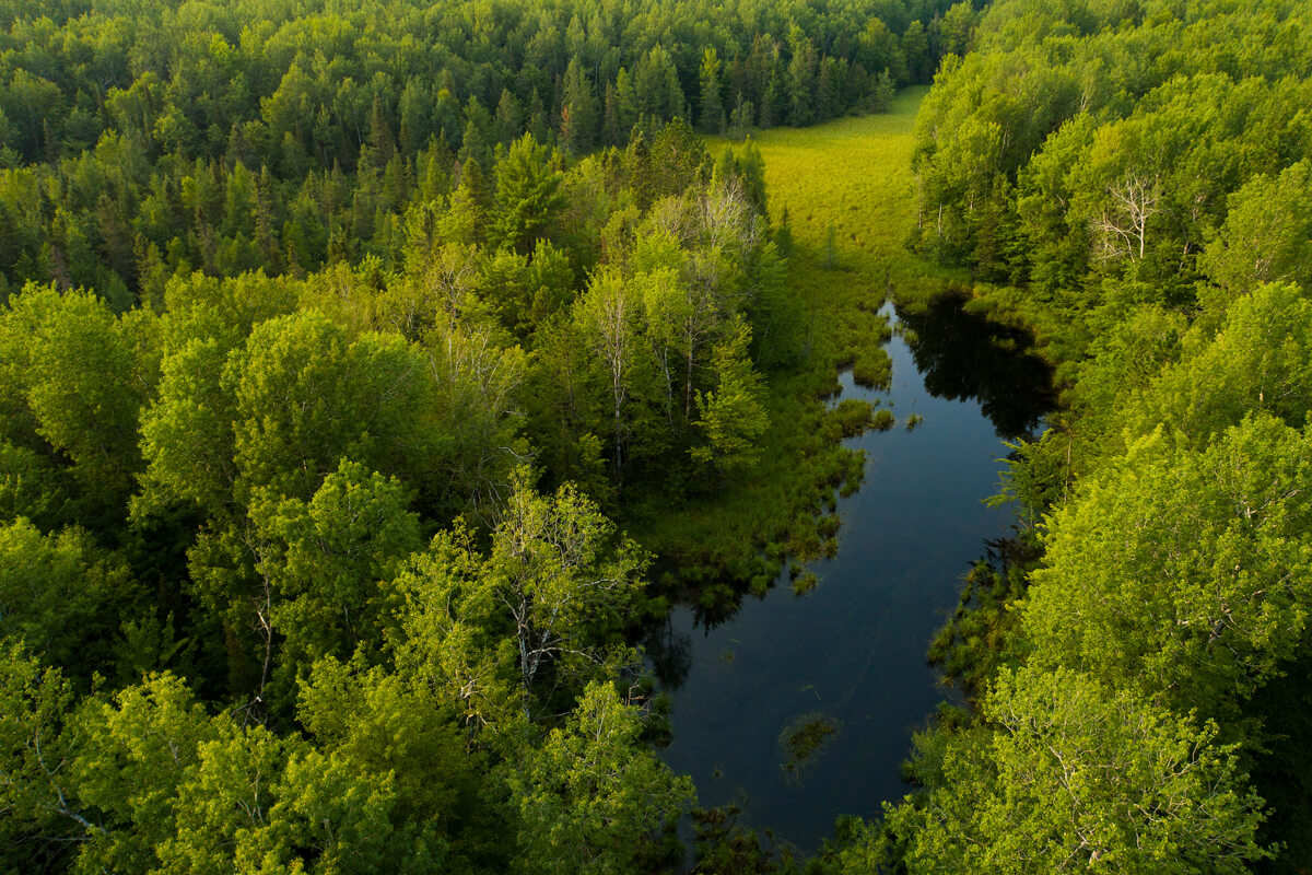 Aerial view of the Pelican River cutting through a lush green forest.